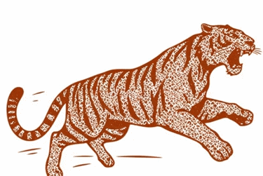 Tiger Leopard Mashup - Magic Nude