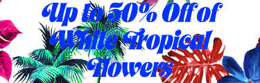 White Tropical Flowers Sale