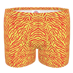 Men's Swim Trunks